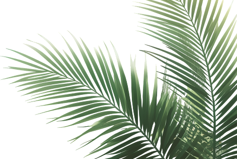 Евгения Чиликина - Welcome Background Leaf